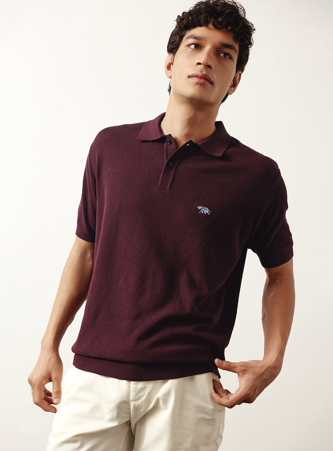 Wineberry Burgundy Cotton Viscose Polo
