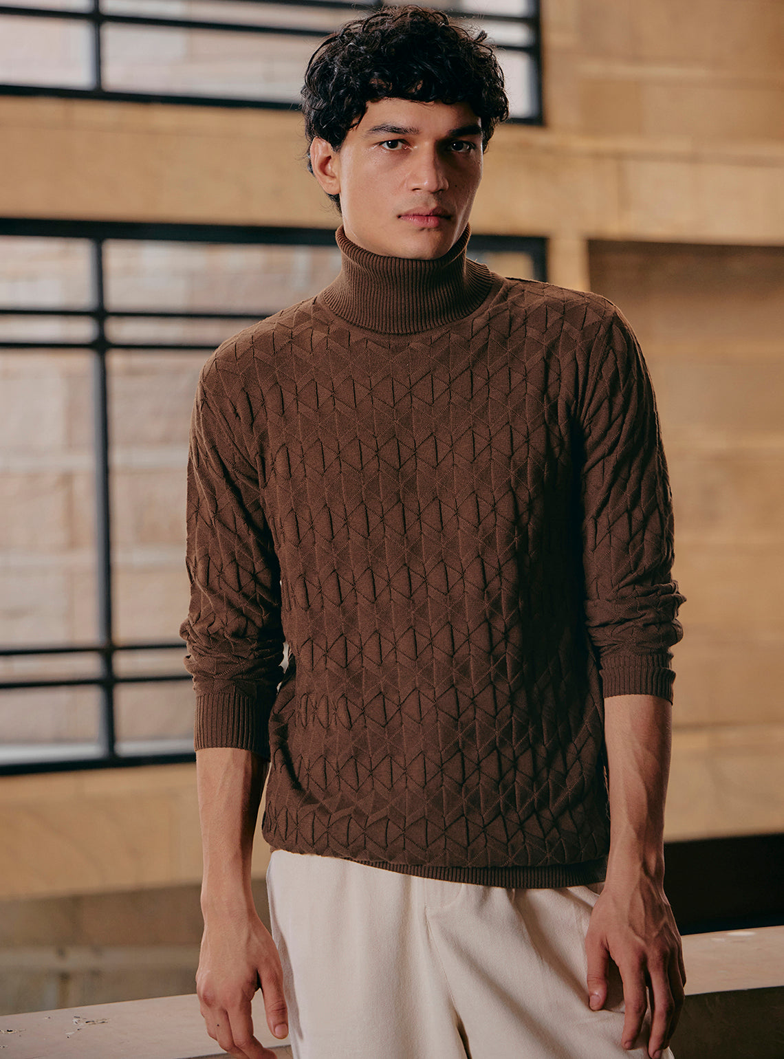 Eclipse Brown Cotton Wool Pullover