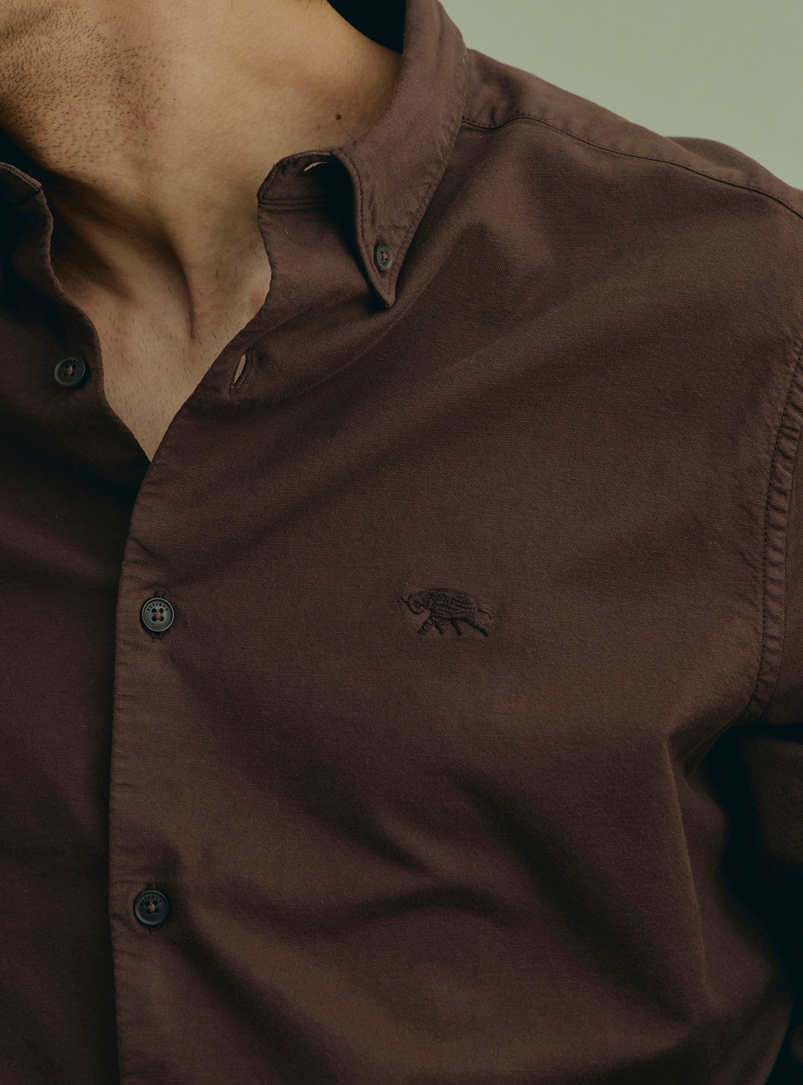 Walnut Brown Cotton Stretch Oxford Shirt