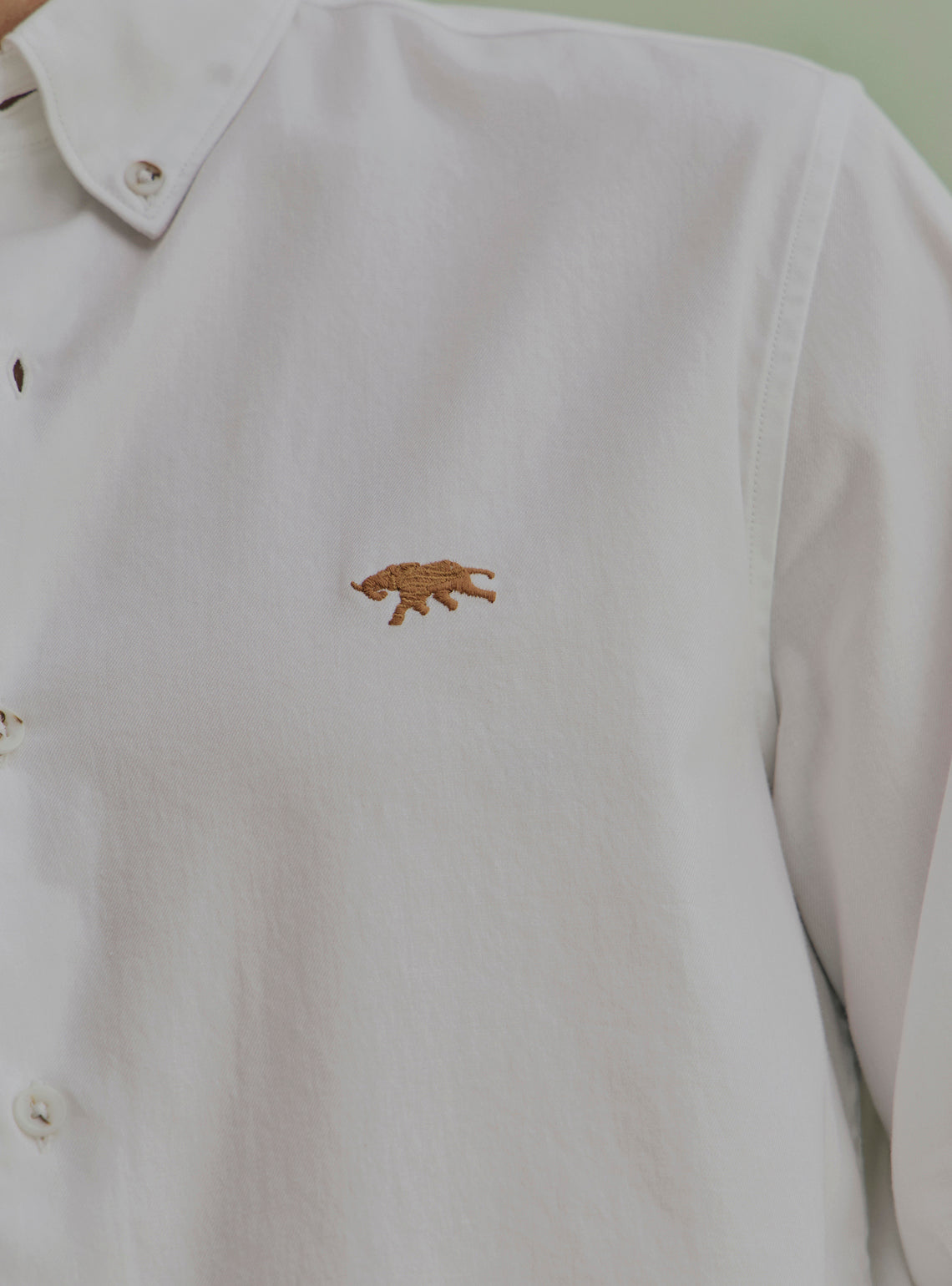 Buttermilk White Cotton Shirt