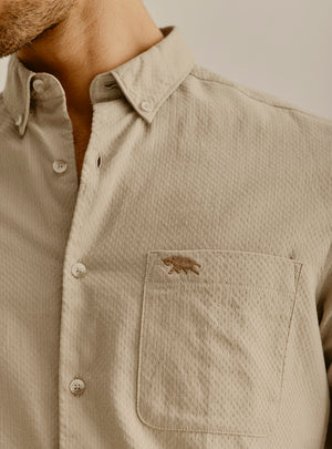 CinqueTerre Khaki Cotton Shirt