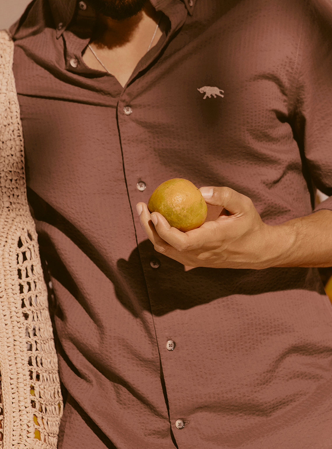 Cassis Brown Seersucker Shirt