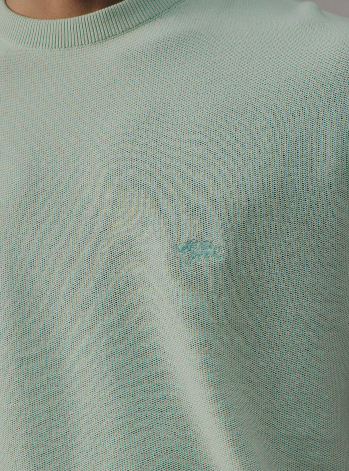 Eucalyptus Green Cotton Crewneck