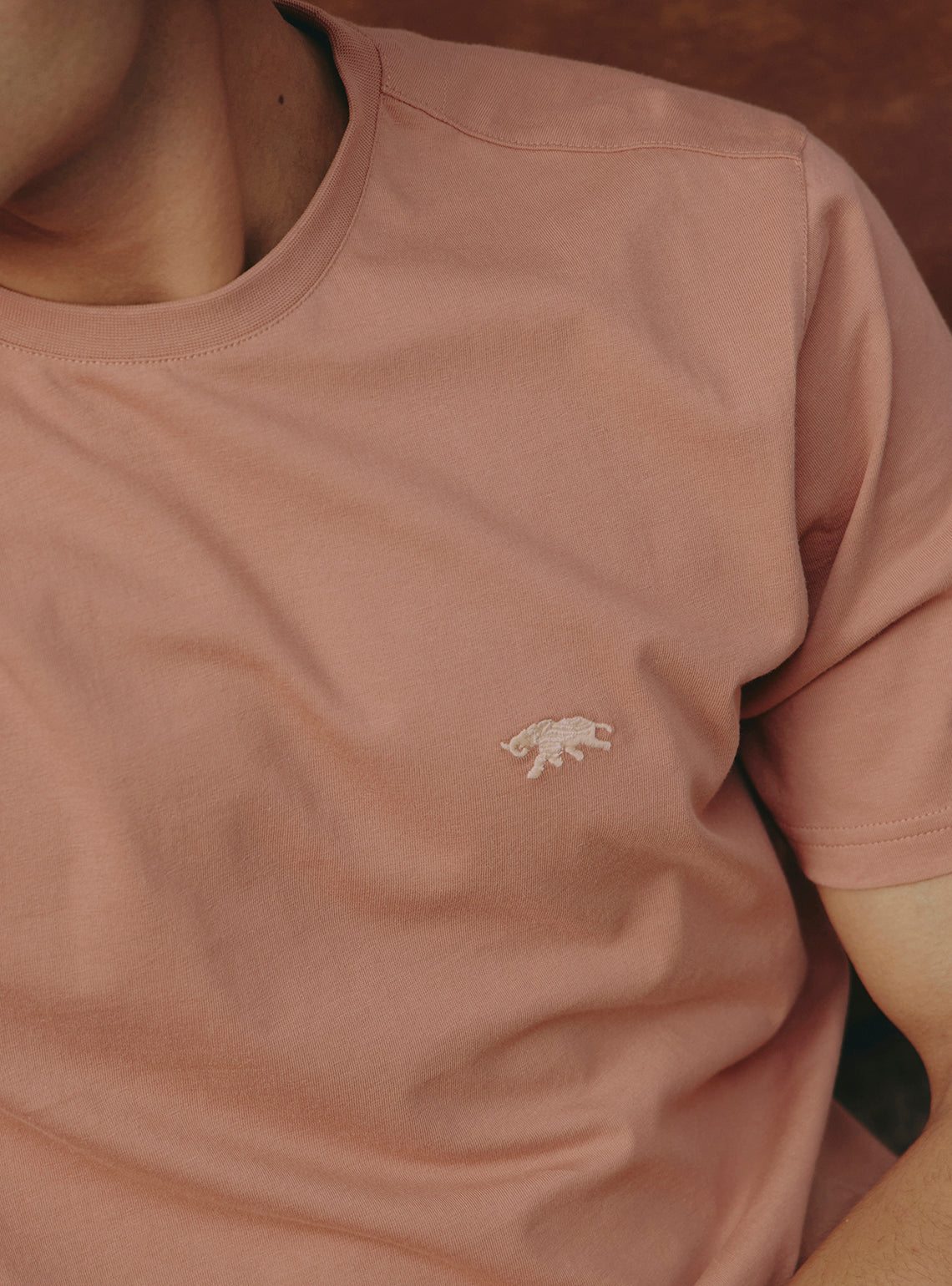 Cocoa Brown Cotton Crewneck