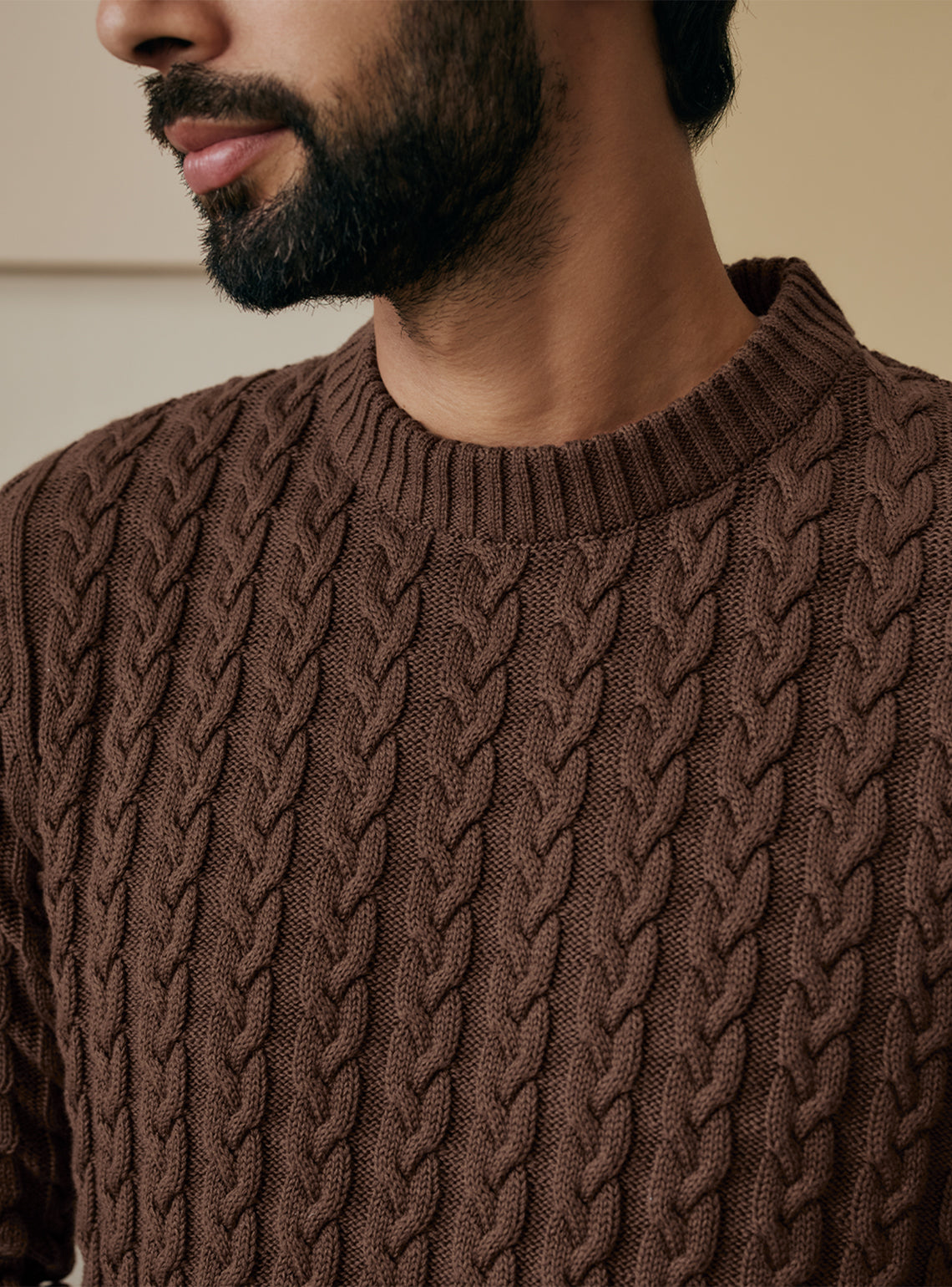 Earthy Brown Cotton Pullover