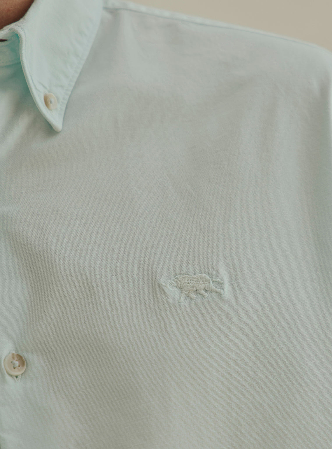 Kale Green Cotton Stretch Oxford Shirt