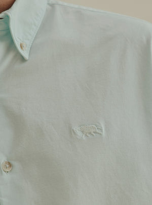 Kale Green Cotton Stretch Oxford Shirt