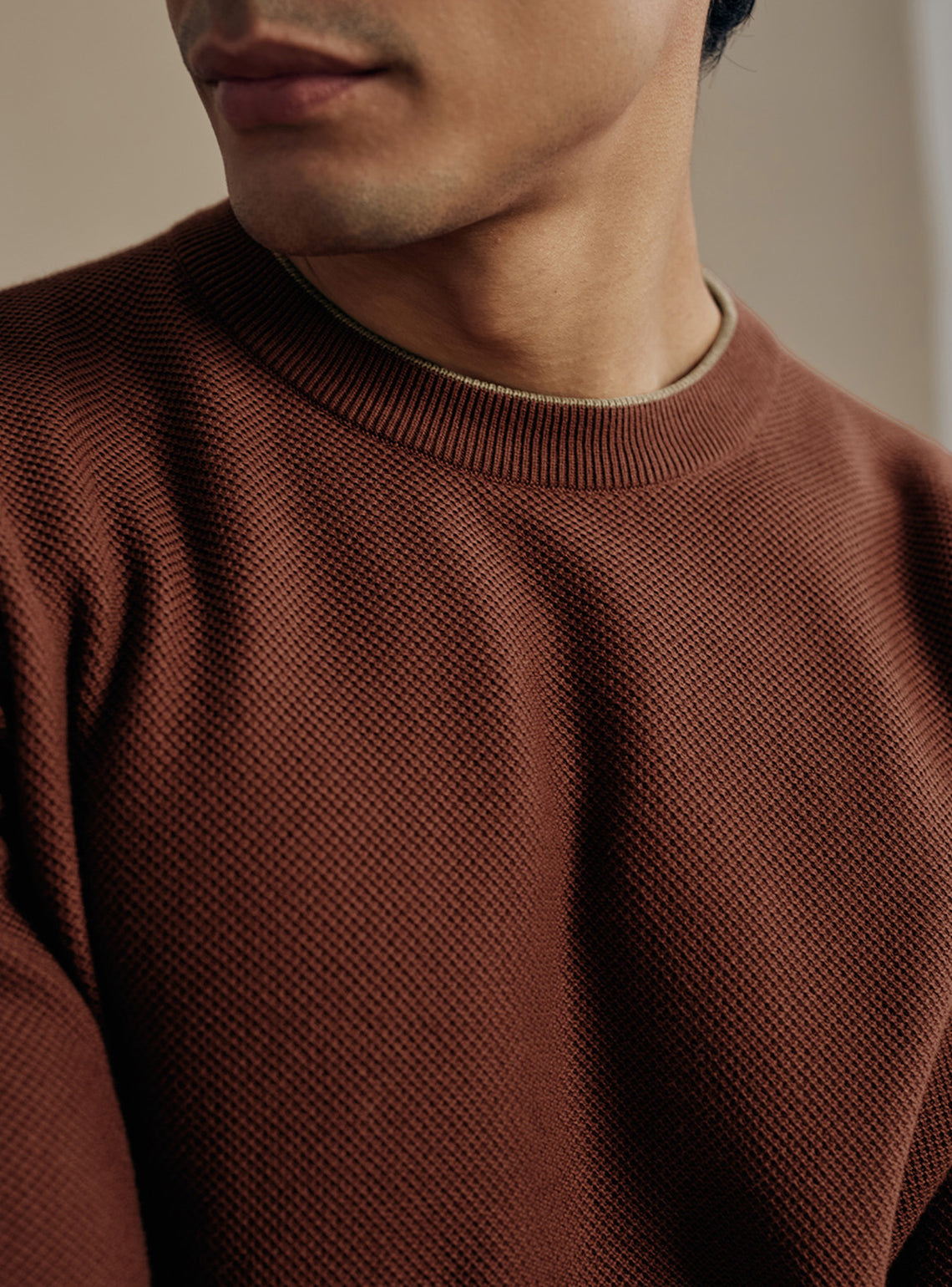Siena Rust Moss Knit Cotton Pullover