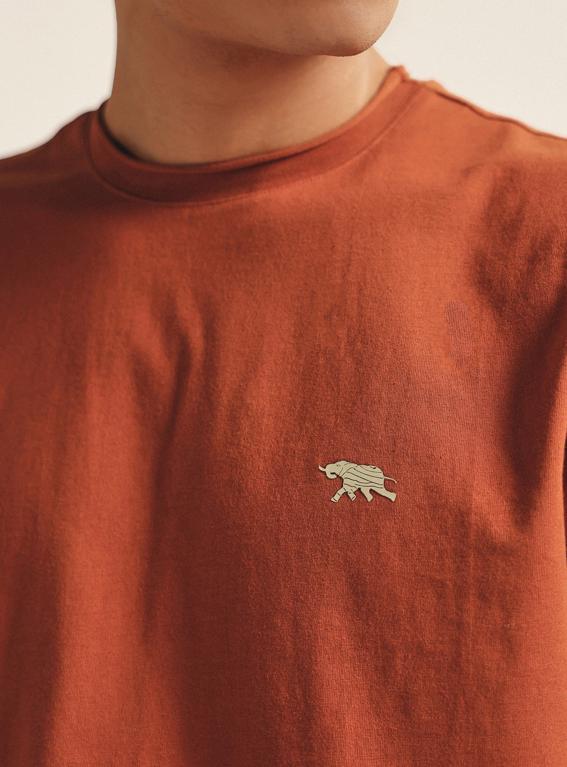 Honeysuckle Rust Cotton Crewneck