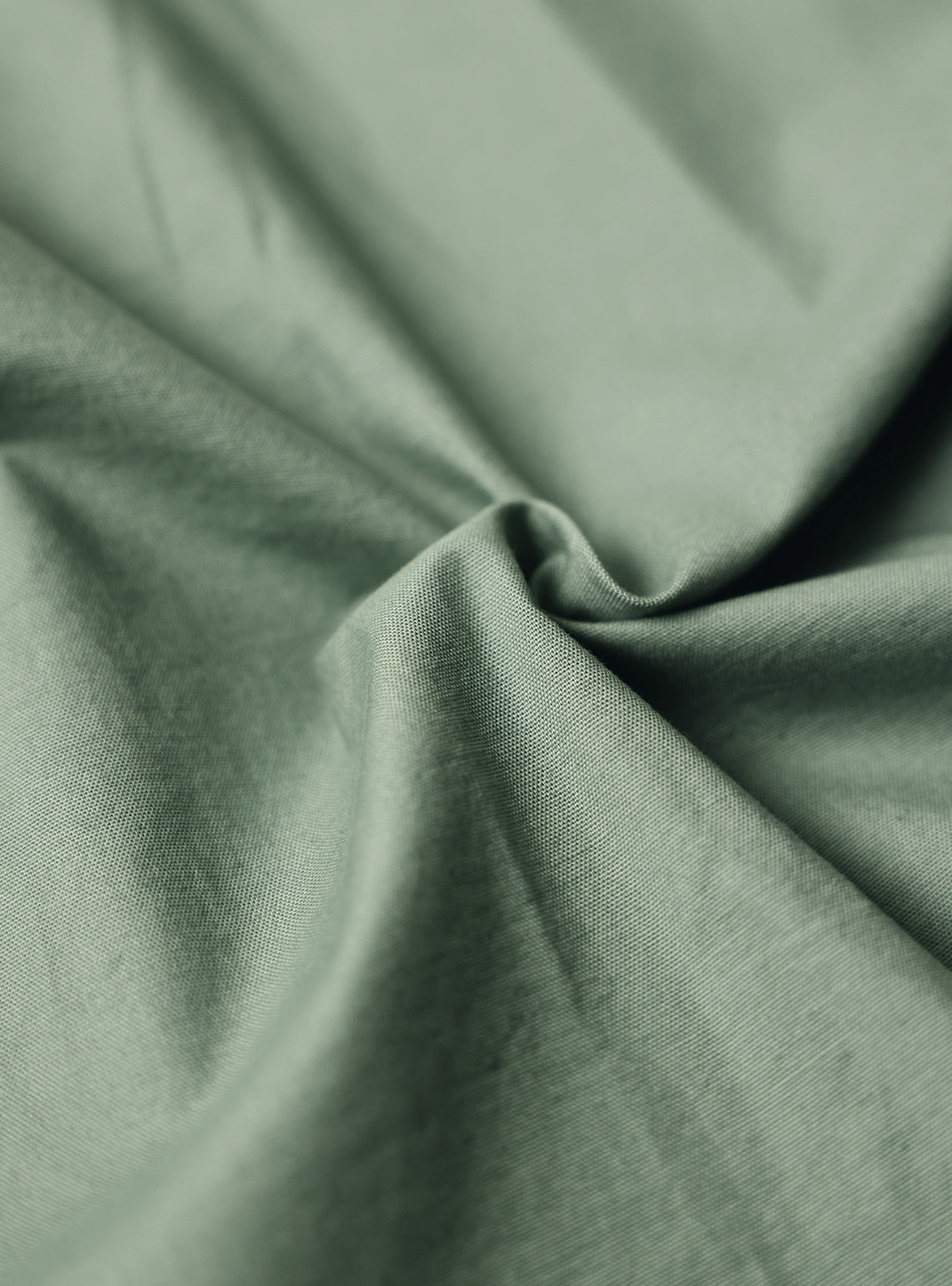 Ranthambore Green Mist Shirt