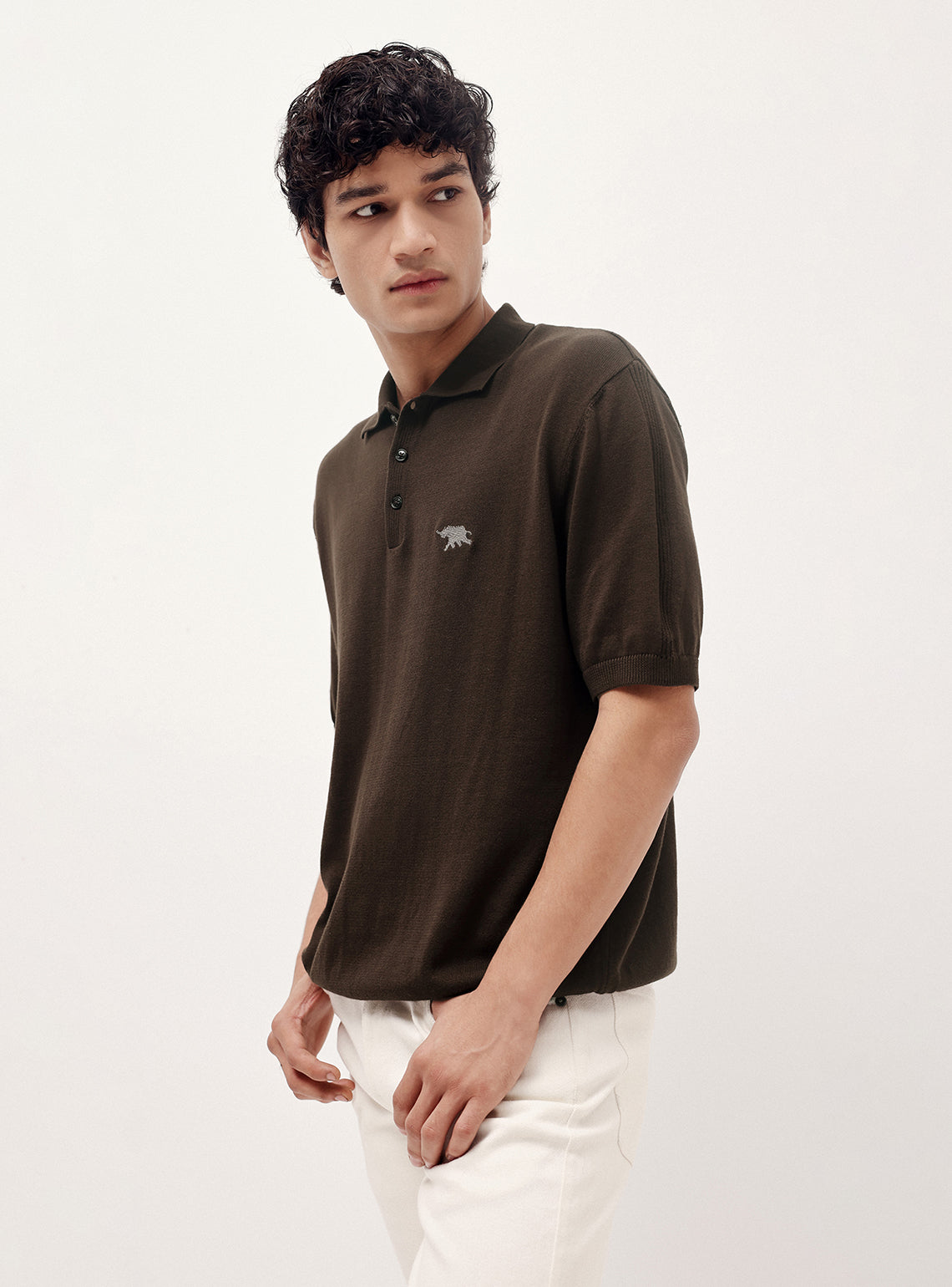 Wood Brown Cotton Polo