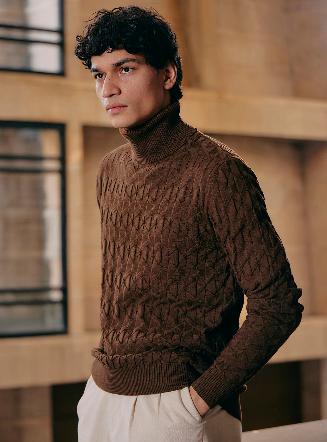 Eclipse Brown Cotton Wool Pullover