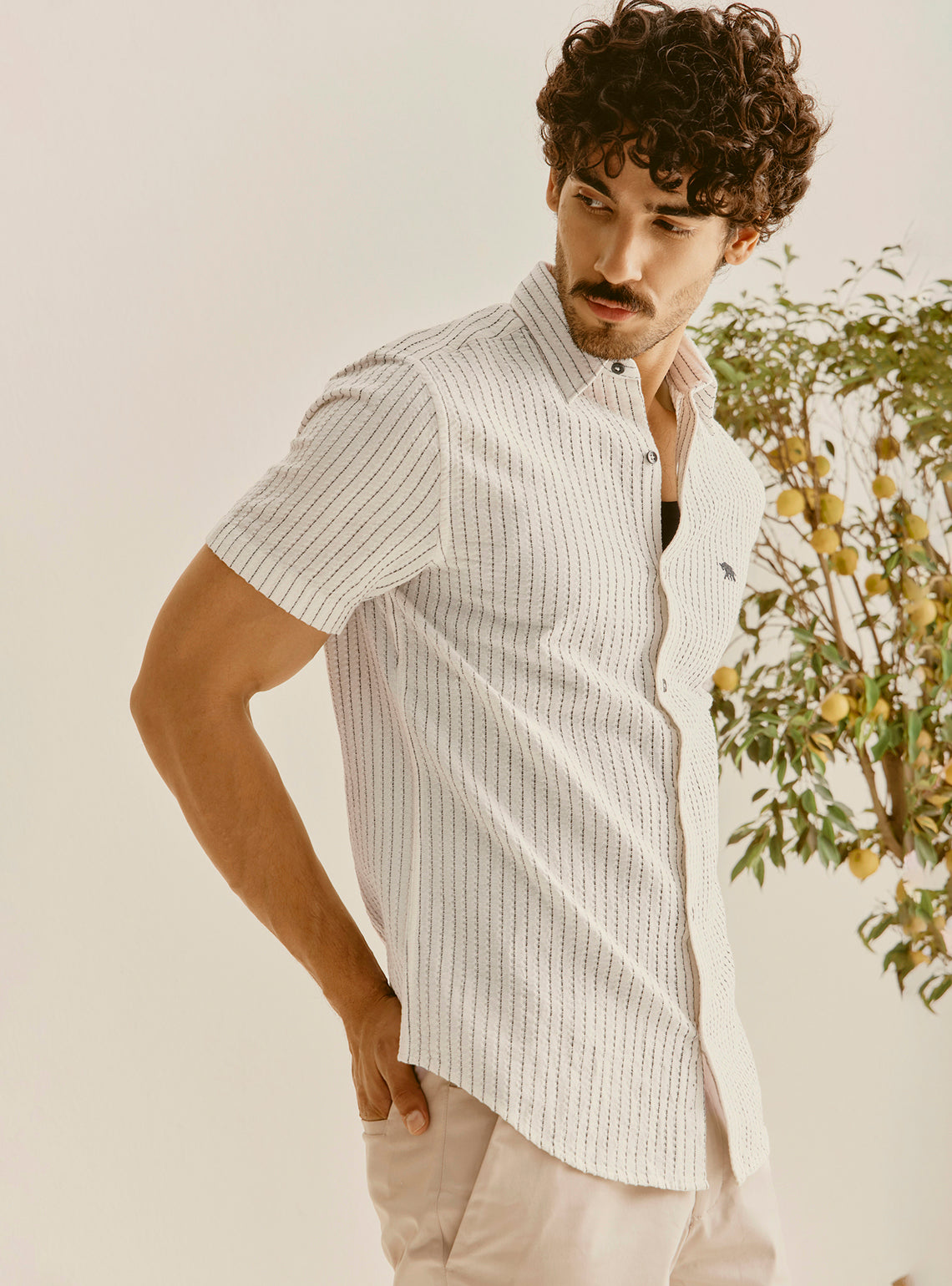 Hydra Off-White Cotton Stripe Shirt