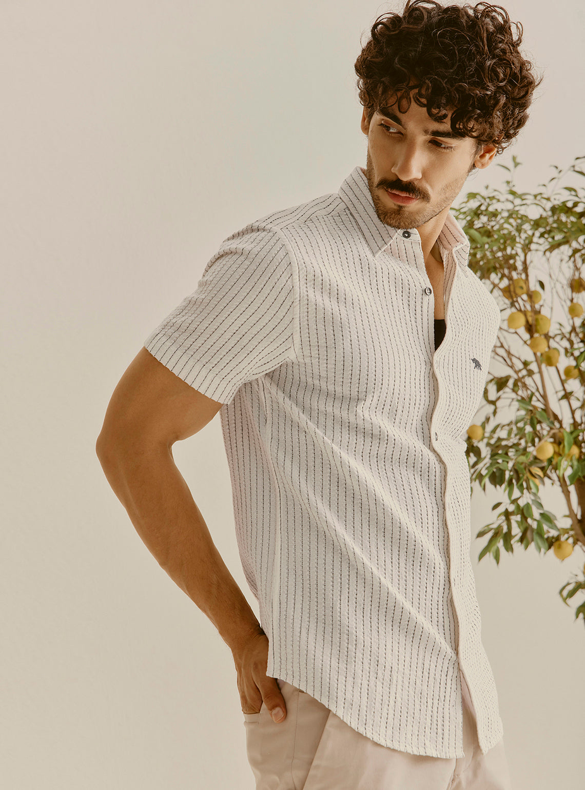 Hydra Off-White Cotton Stripe Shirt