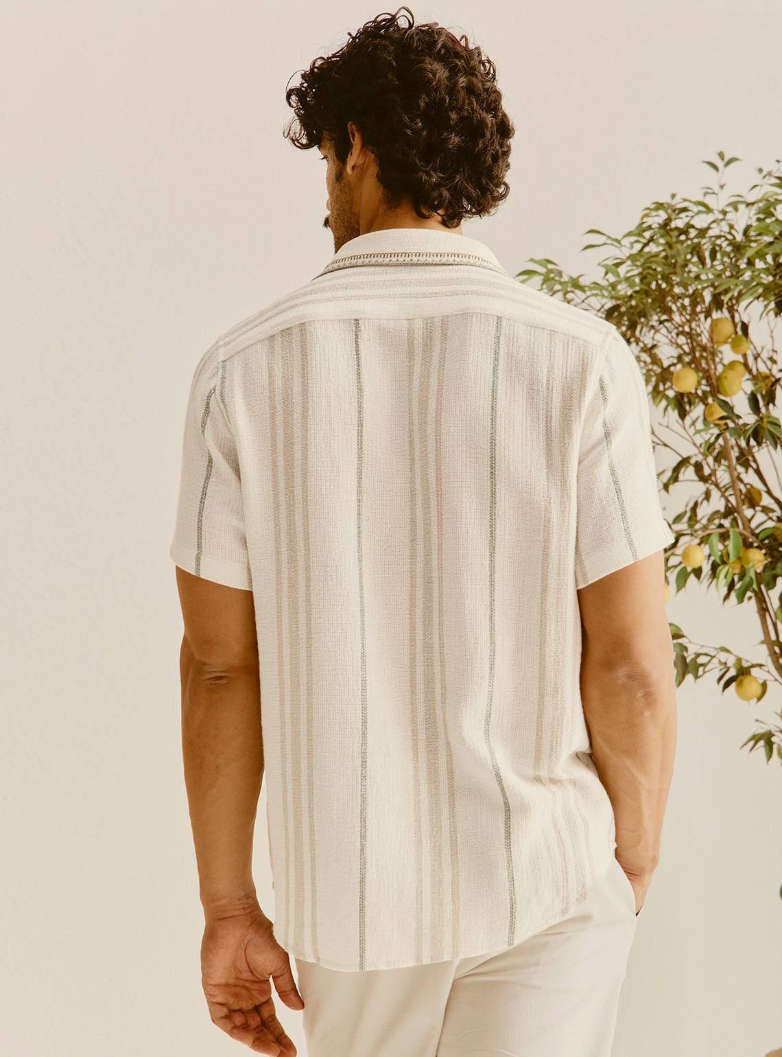 Paphos Beige Cotton Stripe Shirt