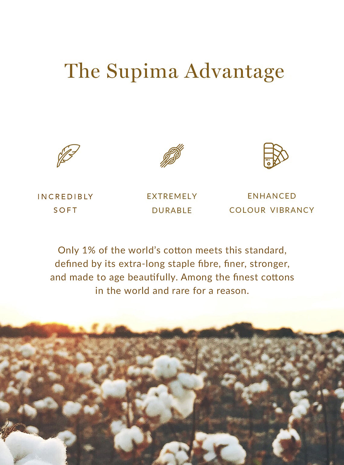 Cinnamon Brown Supima Cotton Polo