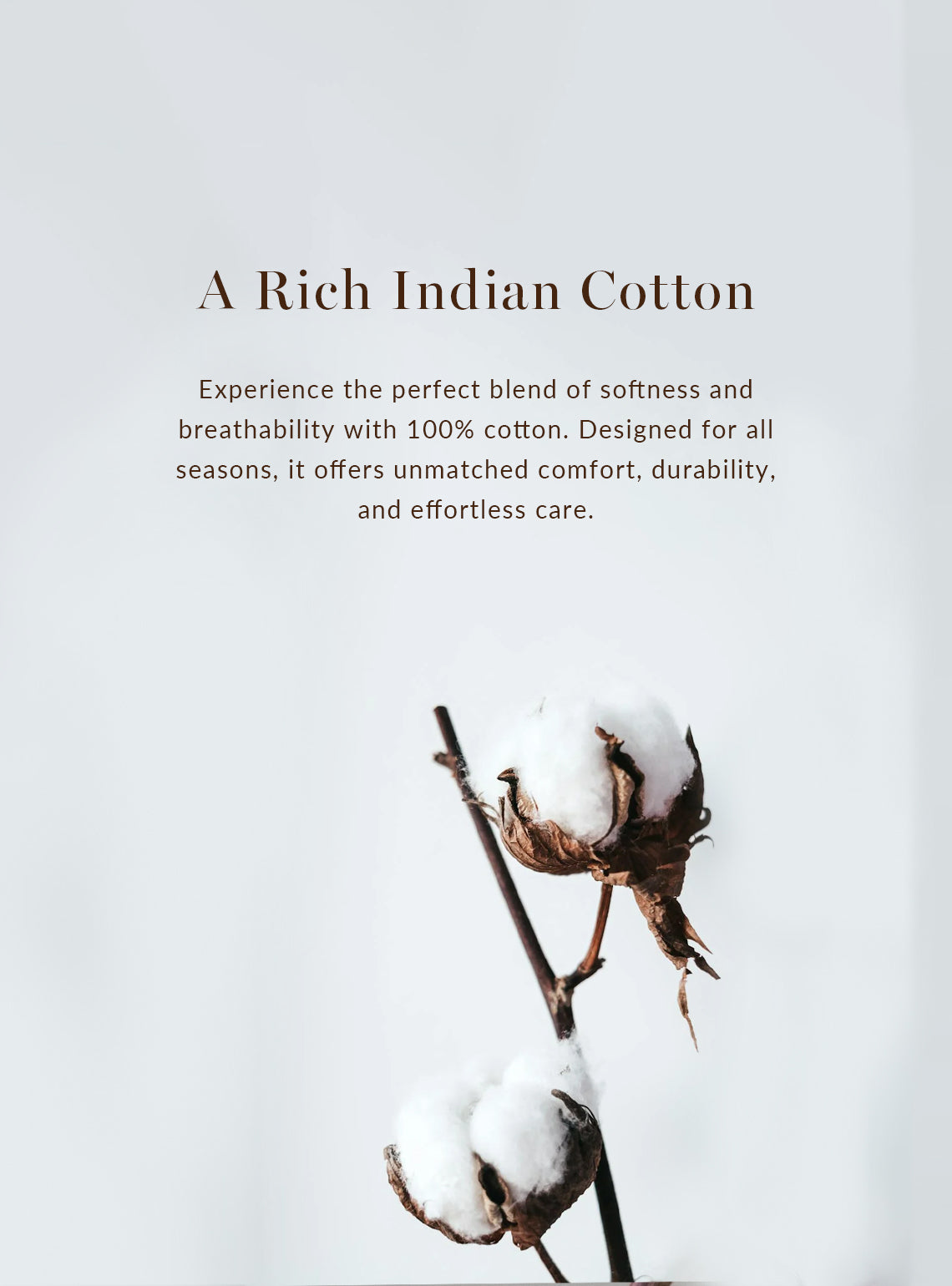 Obsidian Cotton Polo