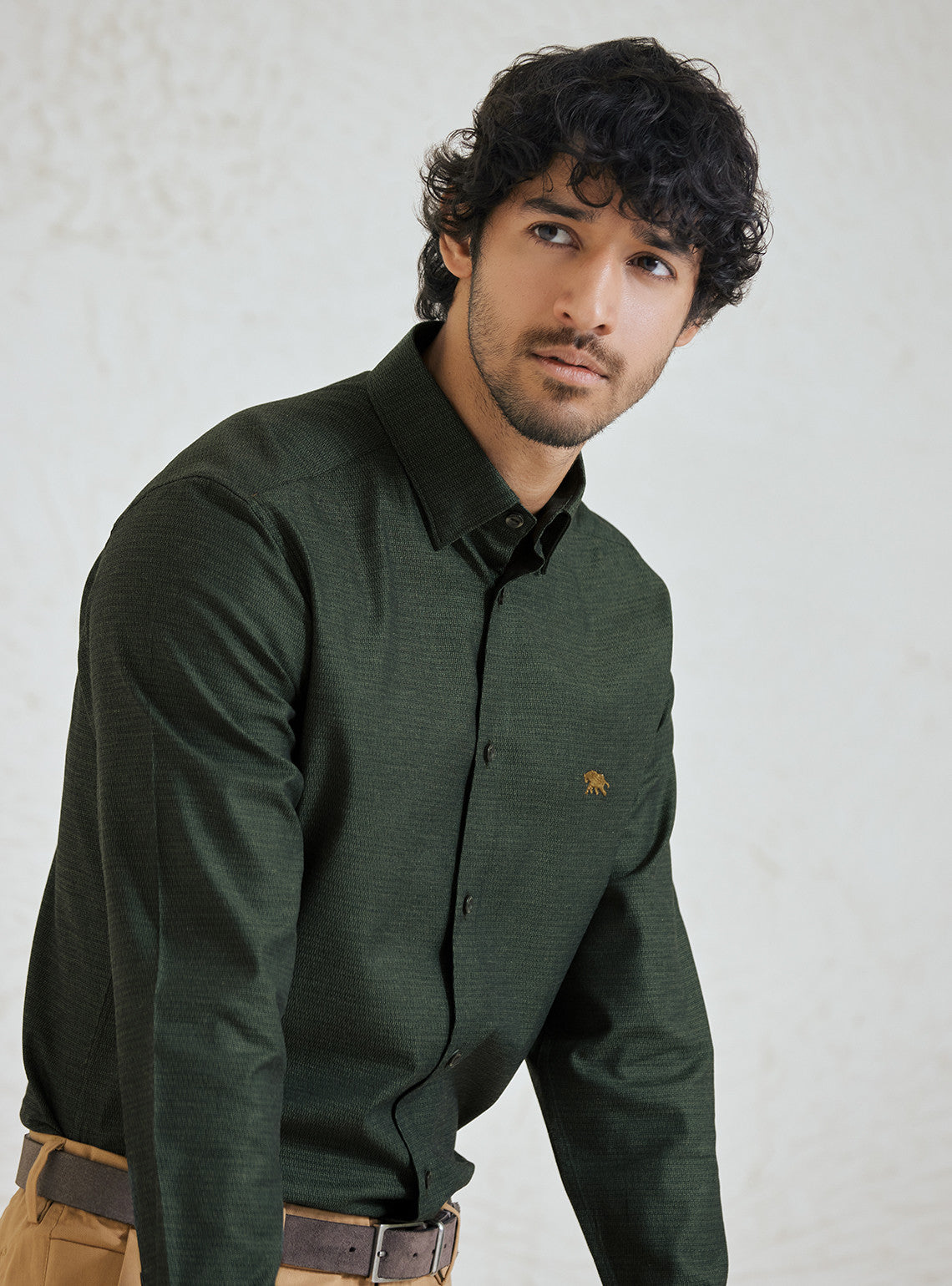 Buy Dark Jungle Shirt Semi Formal Green Dobby Shirts For Men Online buy-dark-jungle-shirt-semi-formal-green-dobby-shirts-for-men-online