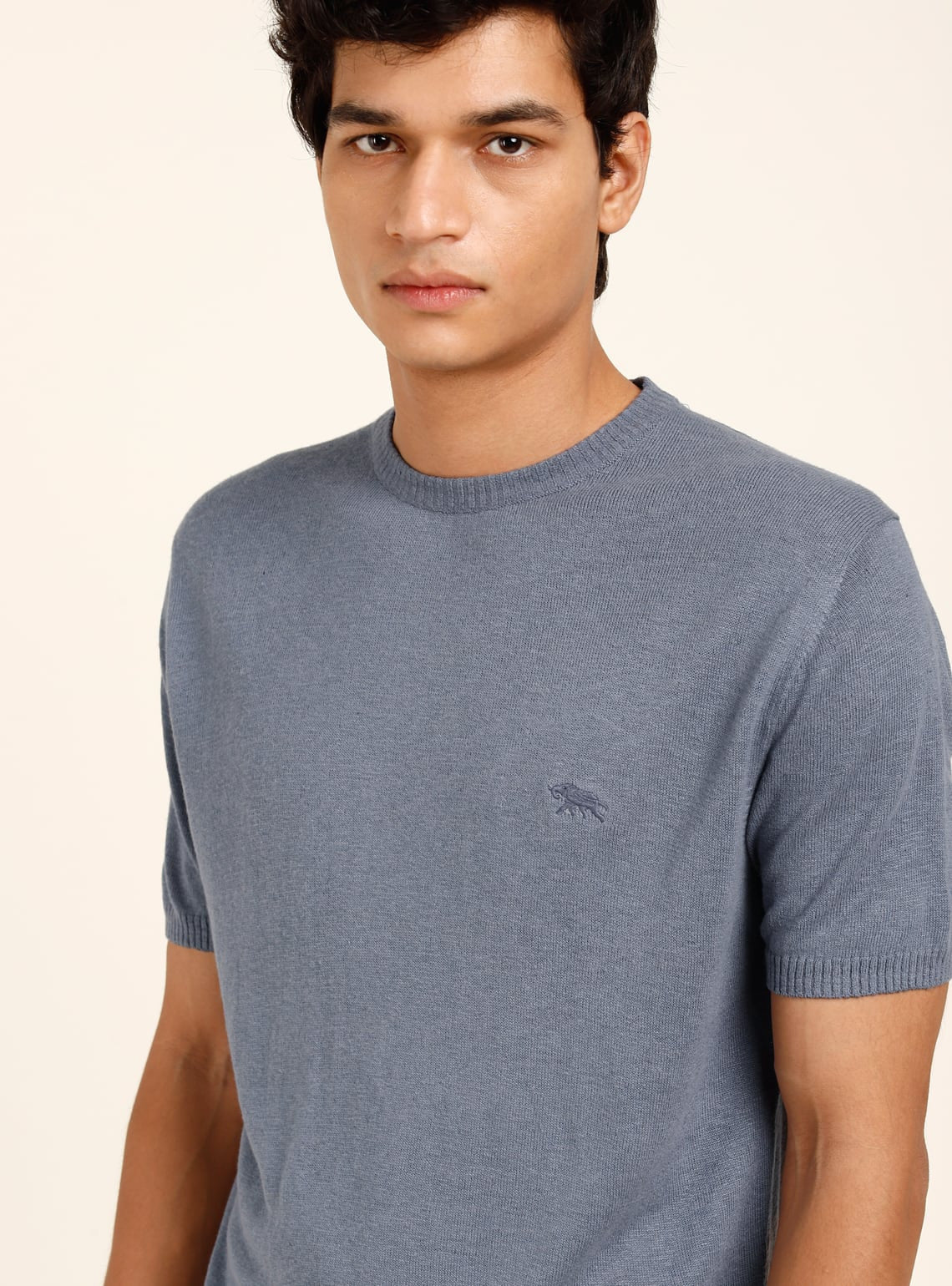Buy Gray Whale Crew | Casual Blue Solid Shirts for Men Online | Andamen